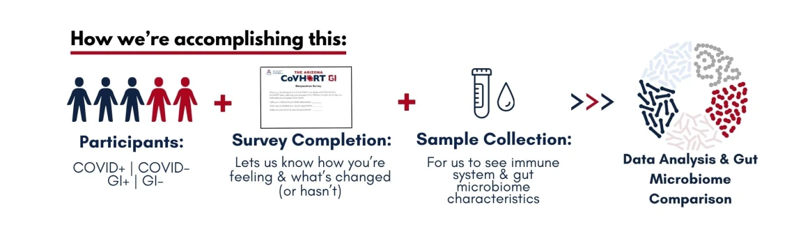 project overview fig