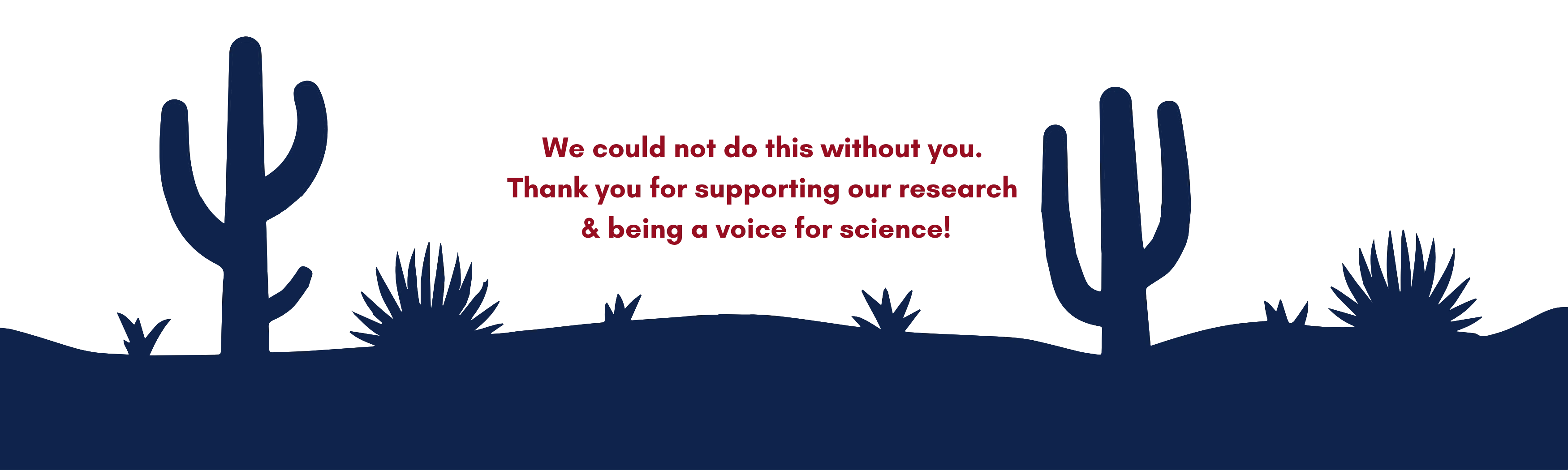 Blue desert border with various cacti