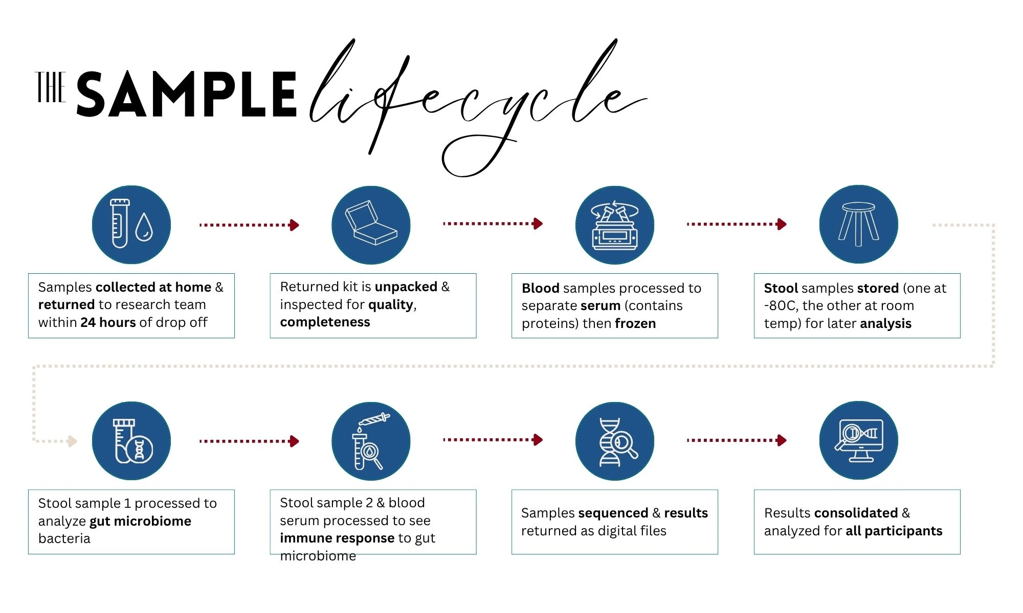 sample lifecycle 2